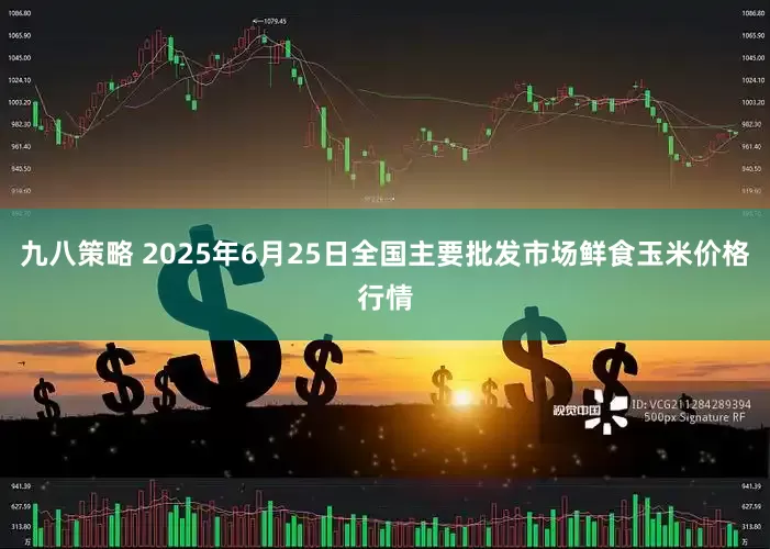 九八策略 2025年6月25日全国主要批发市场鲜食玉米价格行情
