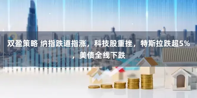 双盈策略 纳指跌道指涨，科技股重挫，特斯拉跌超5%，美债全线下跌