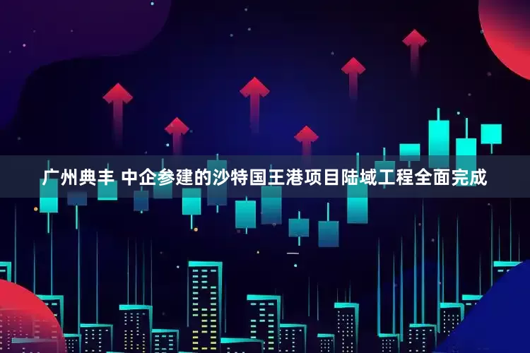 广州典丰 中企参建的沙特国王港项目陆域工程全面完成